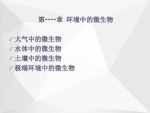 环境微生物ppt