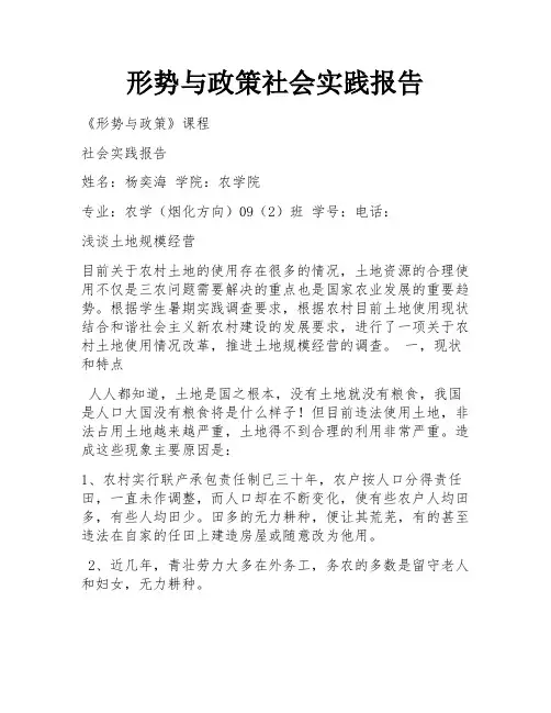 形势与政策社会实践报告