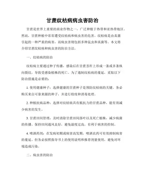 甘蔗纹枯病病虫害防治