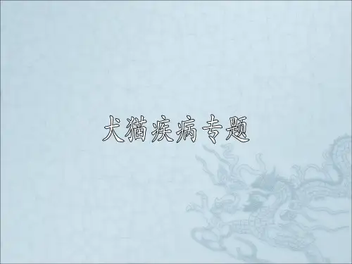 《犬猫疾病专题》ppt课件