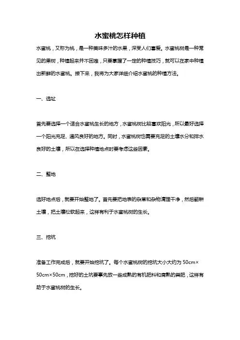 水蜜桃怎样种植