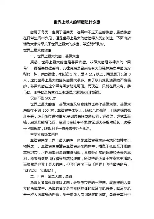 世界上最大的雄鹰是什么鹰