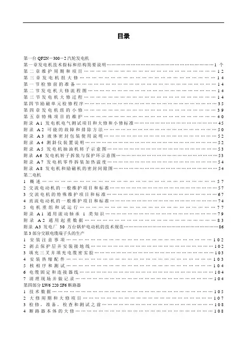 300mw发电机检修工艺规程