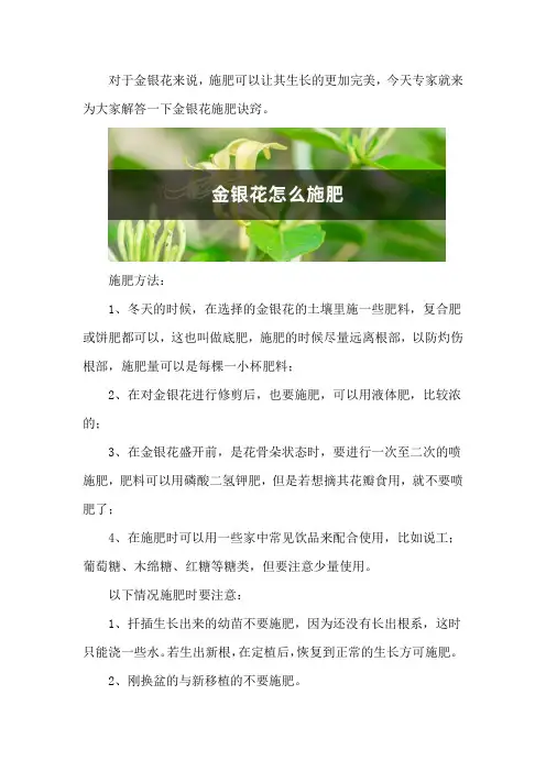 金银花施肥方法大全!