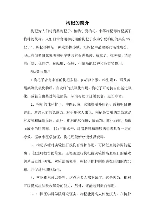 枸杞的简介