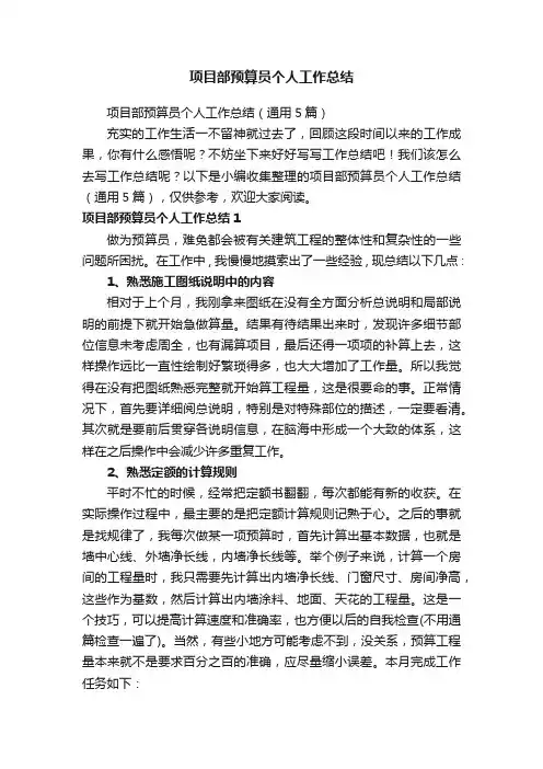 项目部预算员个人工作总结（通用5篇）