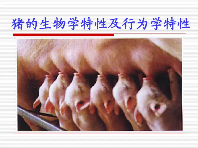 猪的生物学及行为学特性