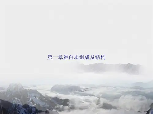 第一章蛋白质组成及结构讲课文档