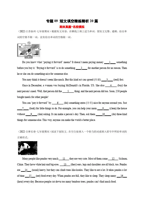 专题09 短文填空精练精析20篇(人教版)