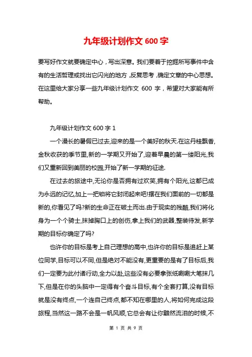 九年级计划作文600字