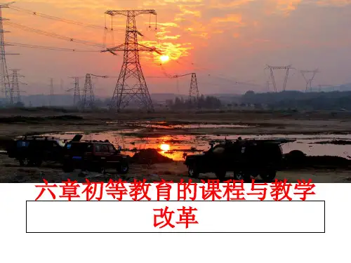 最新六章初等教育的课程与教学改革