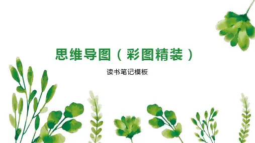 思维导图(彩图精装)