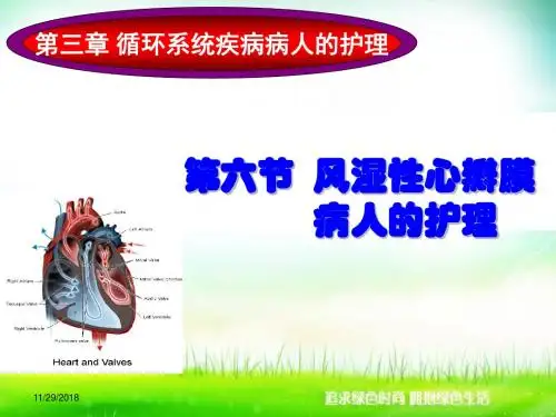 心脏瓣膜病病人的护理1 PPT课件