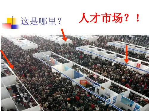 卓越团队的五项修炼课程dqai
