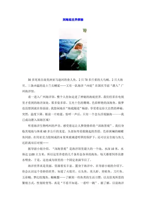 到海底世界探秘