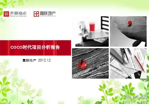 蓝光coco时代项目分析报告