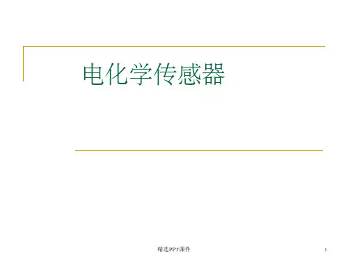 电化学传感器ppt课件