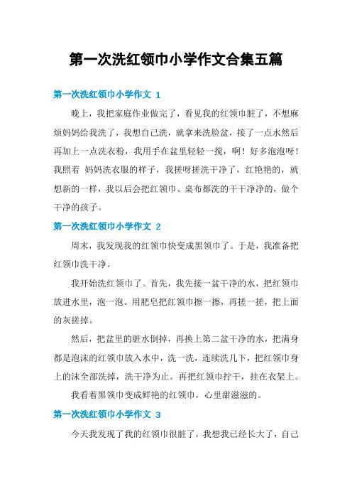 第一次洗红领巾小学作文合集五篇