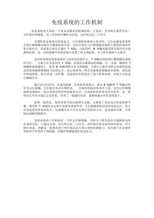 免疫系统的工作机制