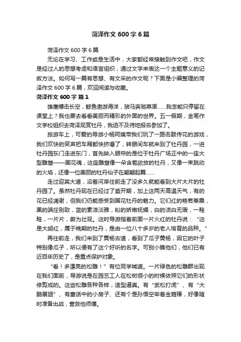 菏泽作文600字6篇