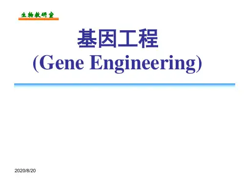 何水林版基因工程第一章_基因工程绪论
