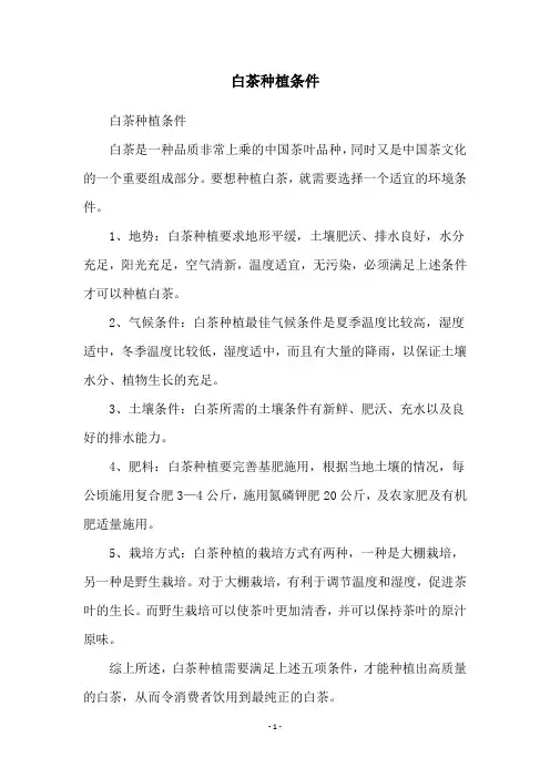 白茶种植条件