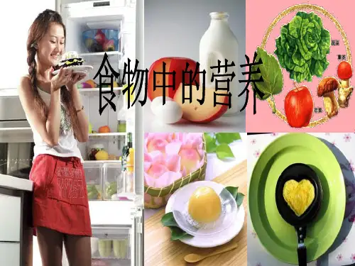 六年级科学上册2.1食物中的营养课件1湘教版124