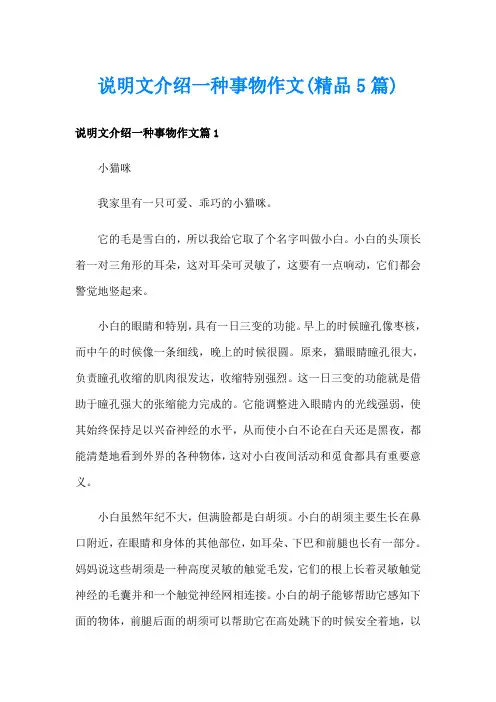 说明文介绍一种事物作文(精品5篇)