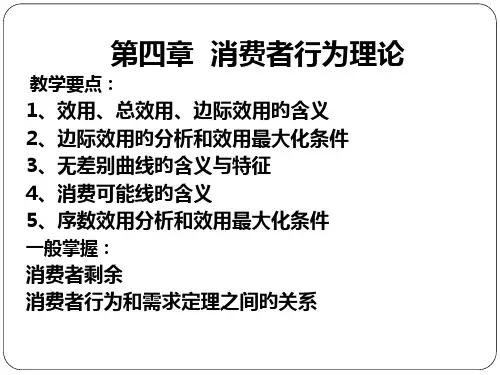 第4章-消费者行为理论