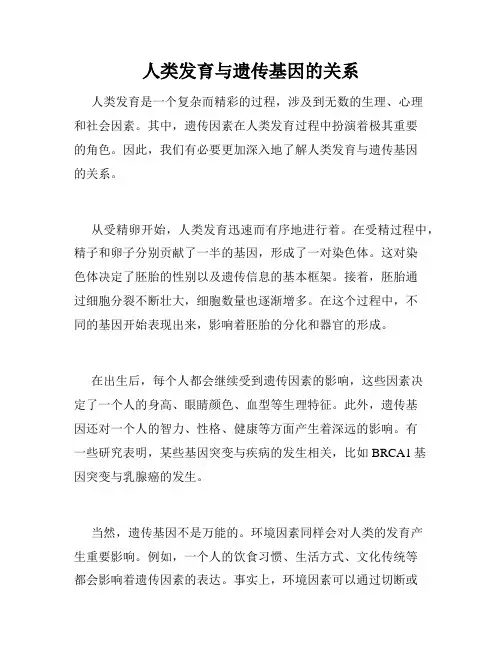 人类发育与遗传基因的关系