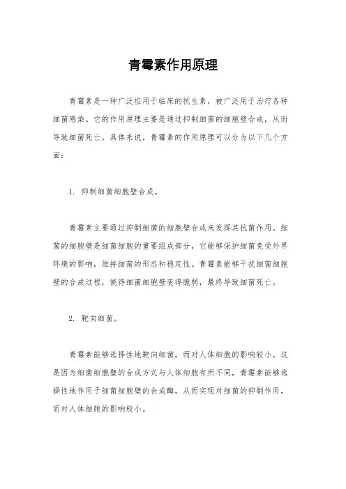 青霉素作用原理