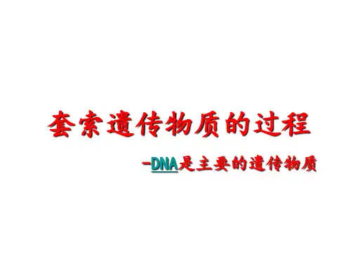 探索遗传物质的过程-DNA是主要的遗传物质