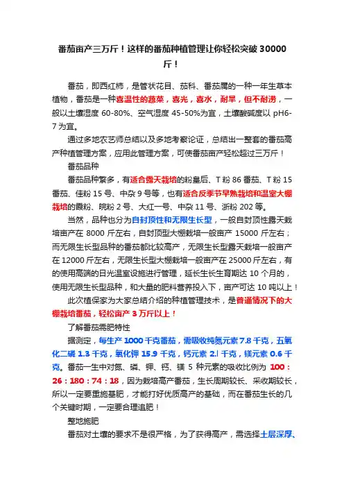 番茄亩产三万斤！这样的番茄种植管理让你轻松突破30000斤！
