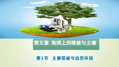 5.1 主要植被与自然环境 课件-湘教版(2019)高中地理必修一(共40页)