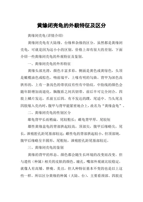 黄缘闭壳龟的外貌特征及区分