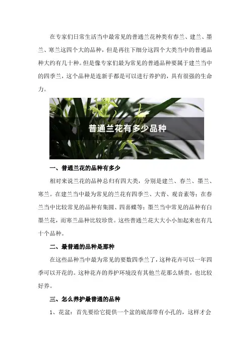普通兰花有多少品种,最普通品种是哪种