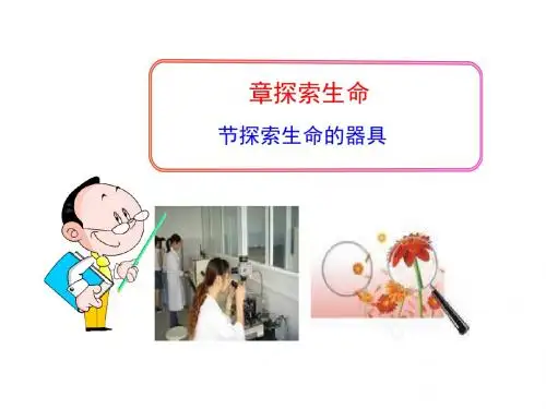 探索生命的器具PPT课件4