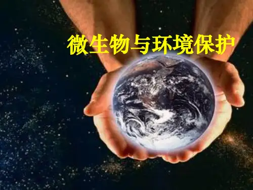 微生物与环境保护ppt课件