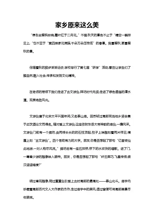 什么原来这么美作文800字