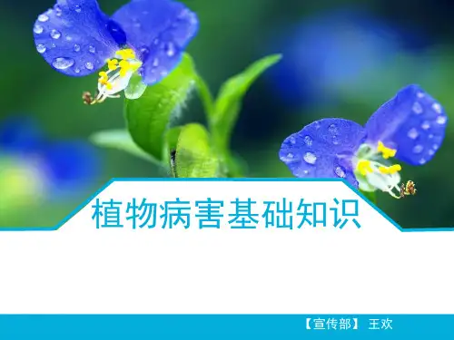 植物病害基础知识整理