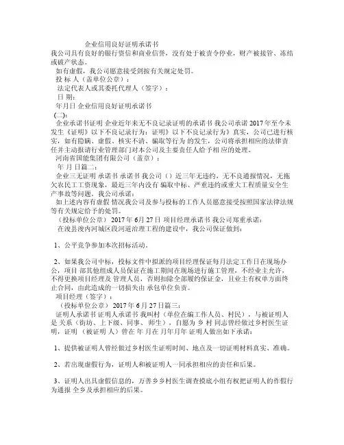 企业信用良好证明承诺书