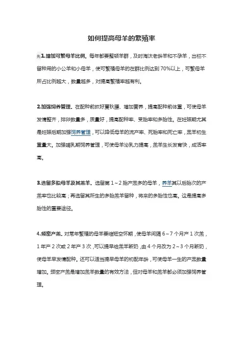 如何提高母羊的繁殖率