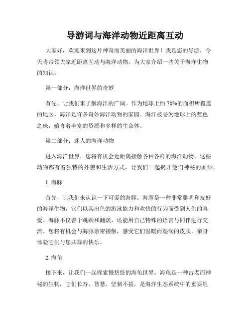 导游词与海洋动物近距离互动
