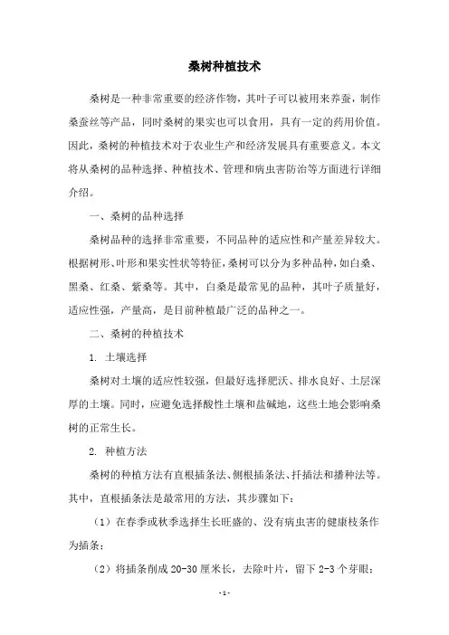 桑树种植技术