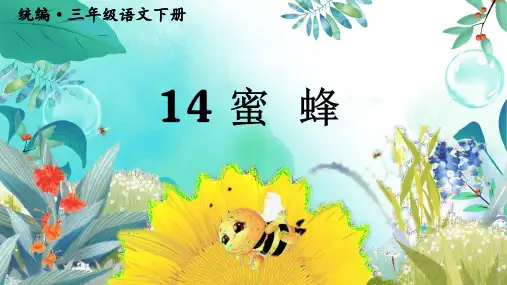 (新)部编版三年级语文下册第14课《蜜蜂》优质课件