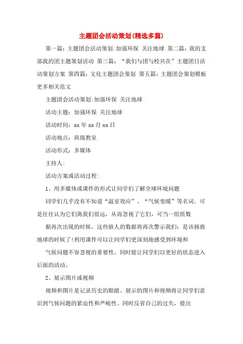 主题团会活动策划(多篇)