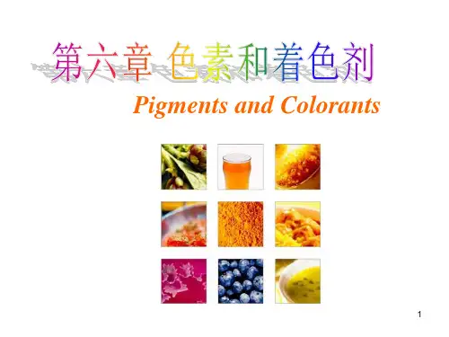 第六章-色素及着色剂