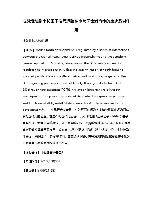 成纤维细胞生长因子信号通路在小鼠牙齿发育中的表达及其作用