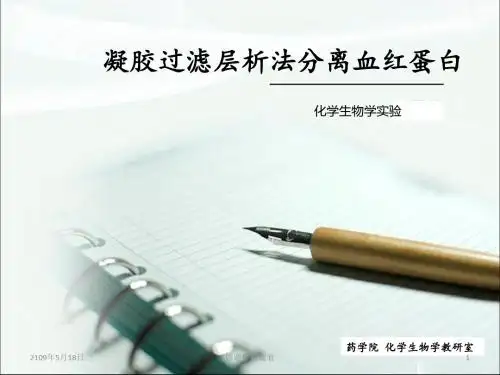 凝胶过滤层析法分离血红蛋白