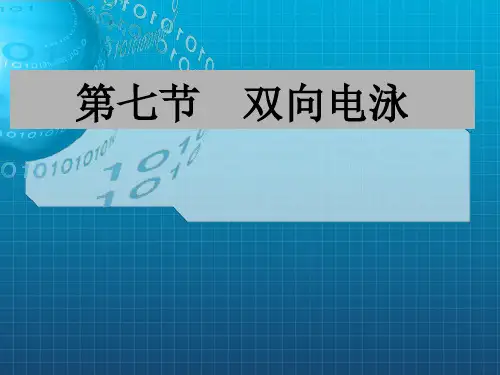 《双向电泳》PPT课件